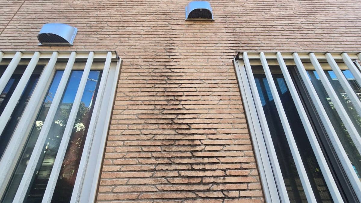 外壁の黒ずみ汚れ