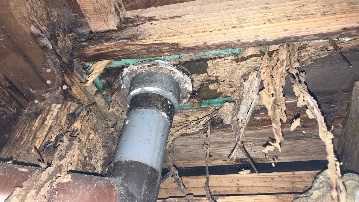 雨漏りが発生した住宅