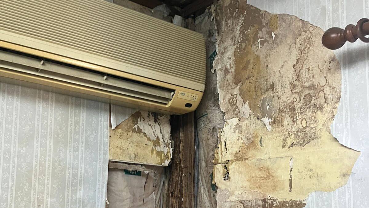 雨漏りが発生している部屋